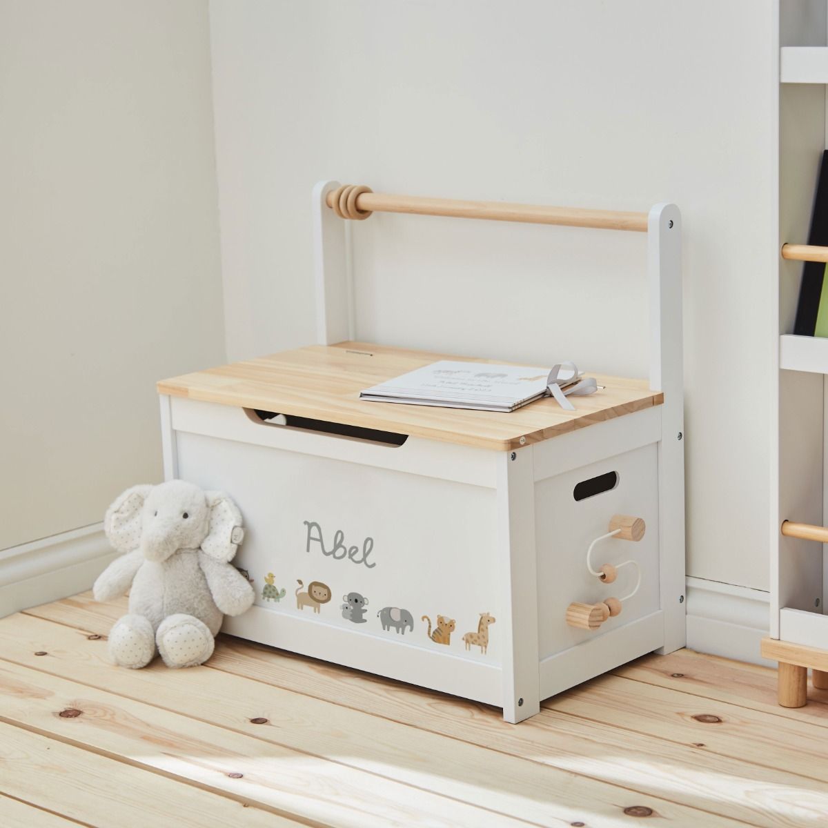 Toy Storage